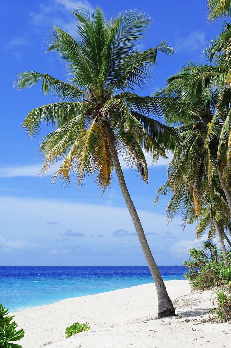 Fiji Beach